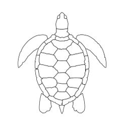 Tortuga #9614
