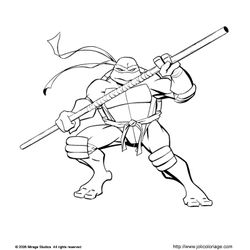 Tortuga #9617