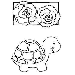 Tortuga #9618