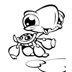 Tortuga #9619