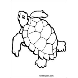 Tortuga #9625