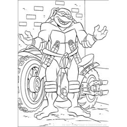 Tortuga #9628