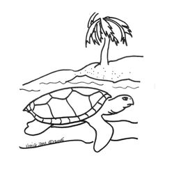 Tortuga #9631