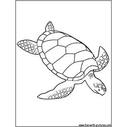 Tortuga #9632