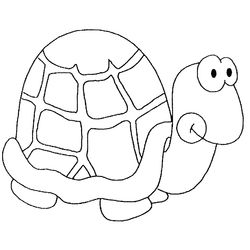 Tortuga #9634