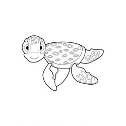 Tortuga #9636
