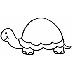 Tortuga #9641