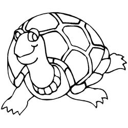 Tortuga #9653