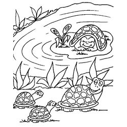 Tortuga #9657