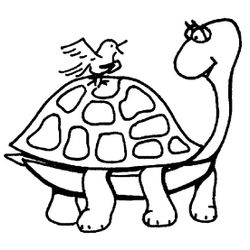 Tortuga #9661
