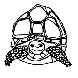 Tortuga #9663