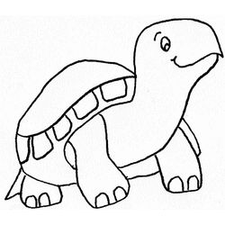 Tortuga #9664