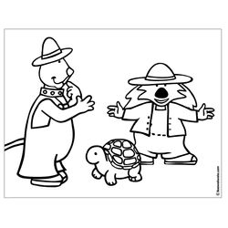 Tortuga #9670