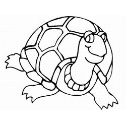 Tortuga #9672