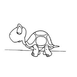 Tortuga #9676