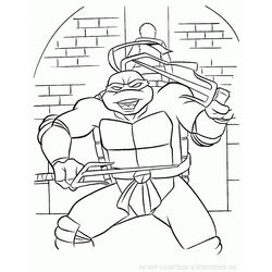 Tortuga #9677
