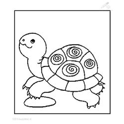 Tortuga #9680