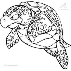 Tortuga #9681