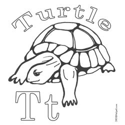 Tortuga #9685