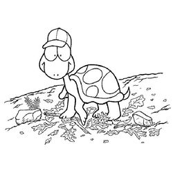 Tortuga #9688