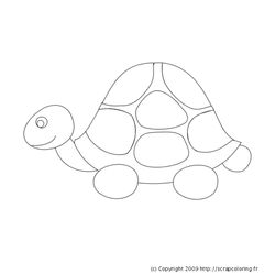 Tortuga #9693