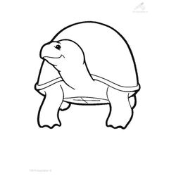 Tortuga #9695