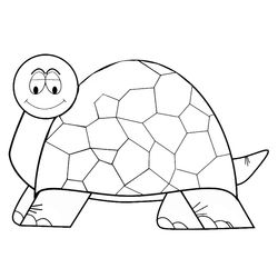 Tortuga #9699