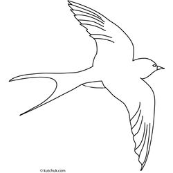 Golondrina #9705