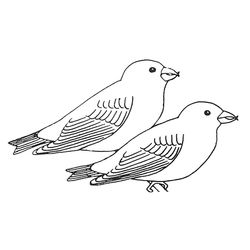 Golondrina #9706
