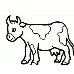 Vaca #9716