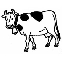 Vaca #9717