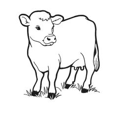 Vaca #9718