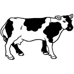 Vaca #9722
