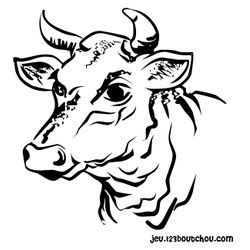 Vaca #9726
