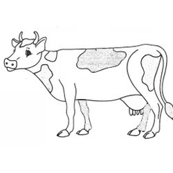 Vaca #9732