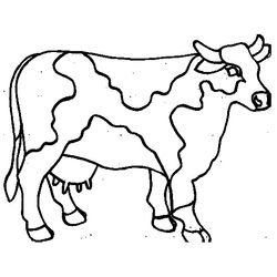 Vaca #9733
