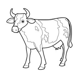Vaca #9734