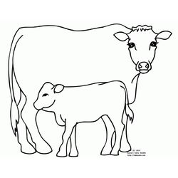Vaca #9735