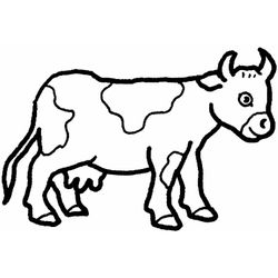Vaca #9740