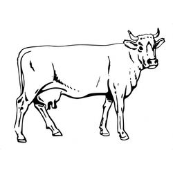 Vaca #9743