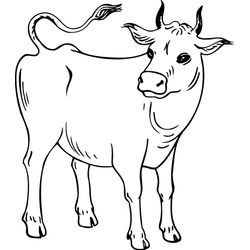 Vaca #9746