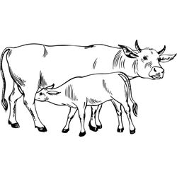Vaca #9750