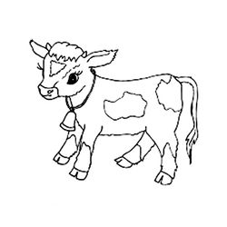 Vaca #9753