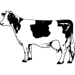 Vaca #9761