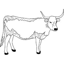 Vaca #9773