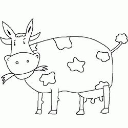 Vaca #9784