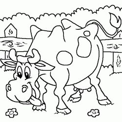 Vaca #9787