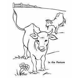 Vaca #9792