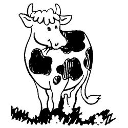 Vaca #9796