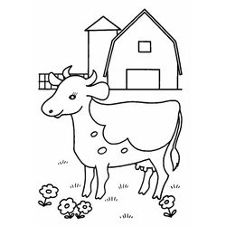 Vaca #9797